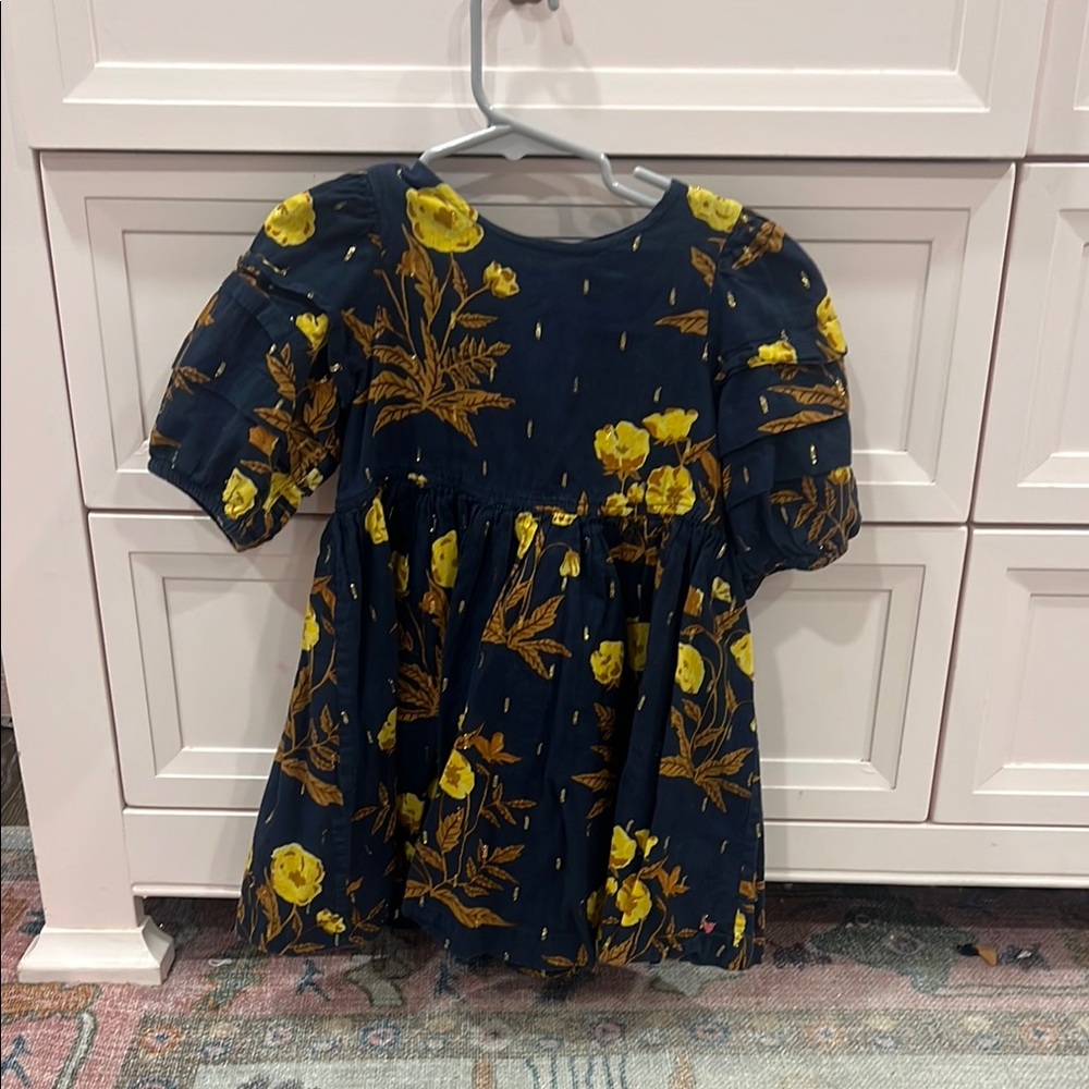 Pink Chicken size 4 dress - perfect for fall!